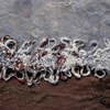 Project - Felting