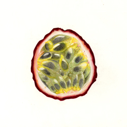 Project - Hand drawing